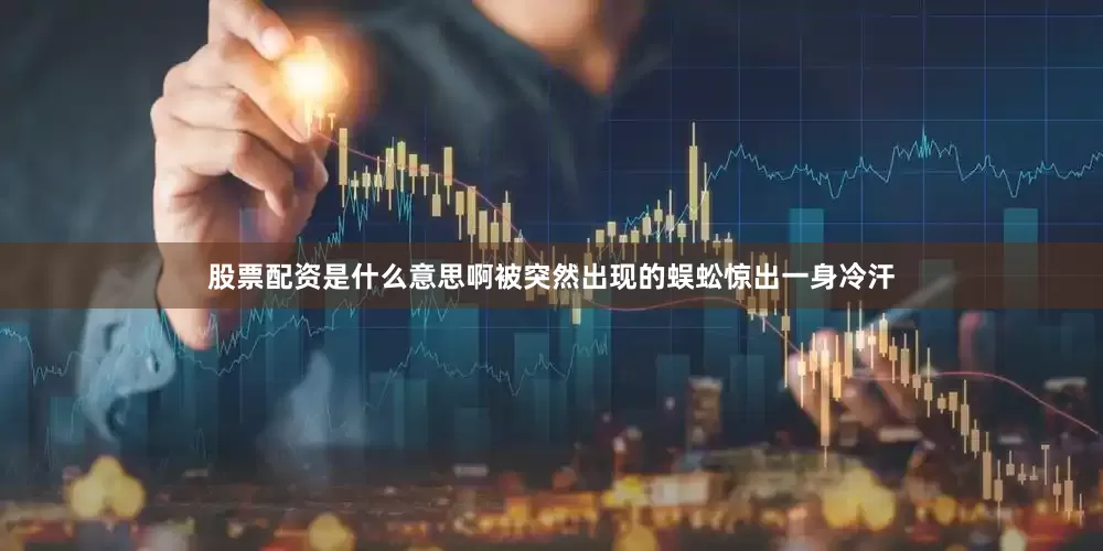 股票配资是什么意思啊被突然出现的蜈蚣惊出一身冷汗