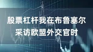 股票杠杆我在布鲁塞尔采访欧盟外交官时