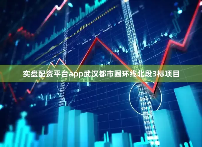 实盘配资平台app武汉都市圈环线北段3标项目