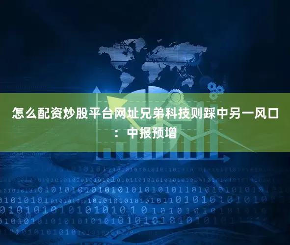 怎么配资炒股平台网址兄弟科技则踩中另一风口：中报预增