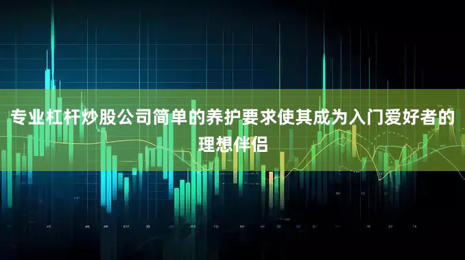 专业杠杆炒股公司简单的养护要求使其成为入门爱好者的理想伴侣