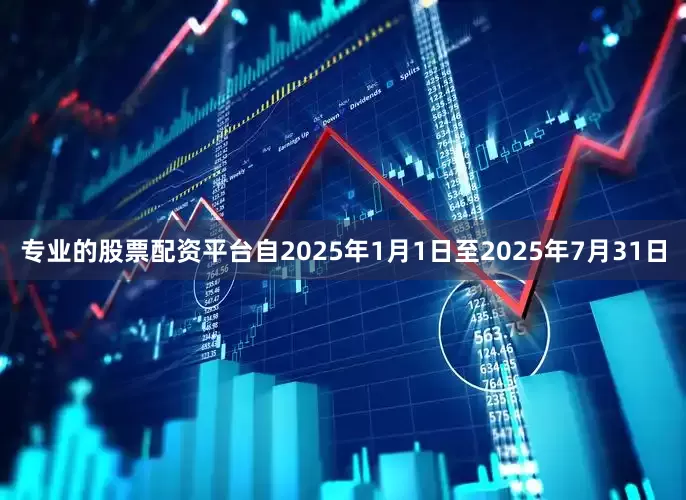 专业的股票配资平台自2025年1月1日至2025年7月31日
