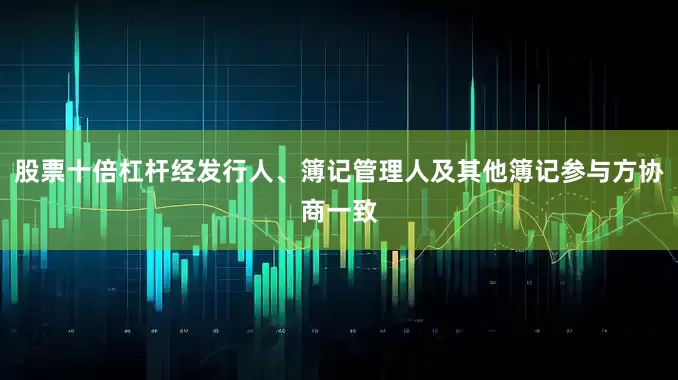 股票十倍杠杆经发行人、簿记管理人及其他簿记参与方协商一致