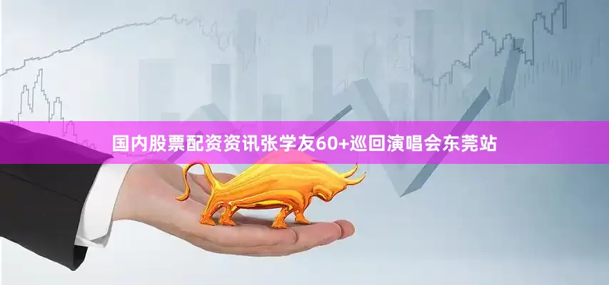 国内股票配资资讯张学友60+巡回演唱会东莞站
